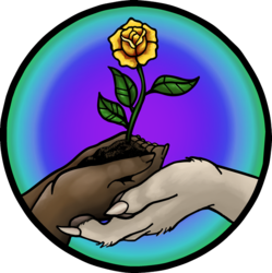 Anthro Northwest 2020