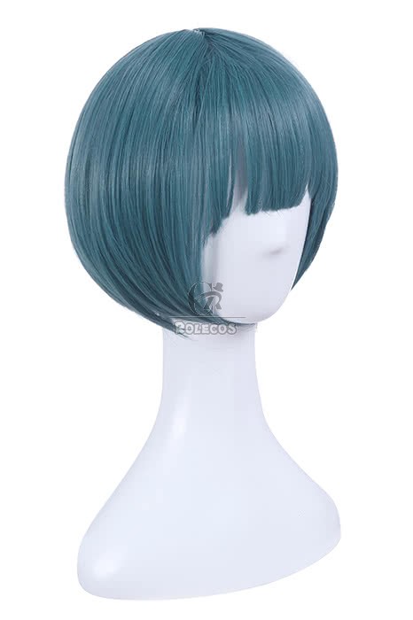 shima-nishina-cosplay-wigs-4.jpg